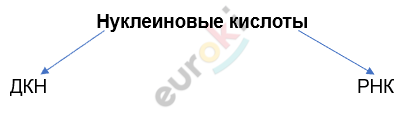 Изображение выглядит как Шрифт, линия, текст, снимок экрана Автоматически созданное описание