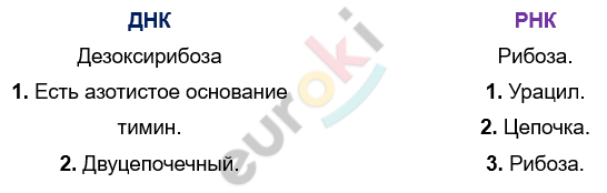 Изображение выглядит как текст, снимок экрана, Шрифт Автоматически созданное описание