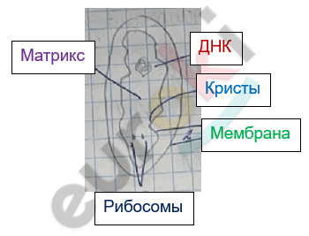 Изображение выглядит как диаграмма, линия, текст, снимок экрана Автоматически созданное описание