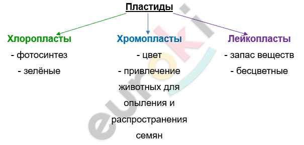 Изображение выглядит как текст, снимок экрана, Шрифт, линия Автоматически созданное описание