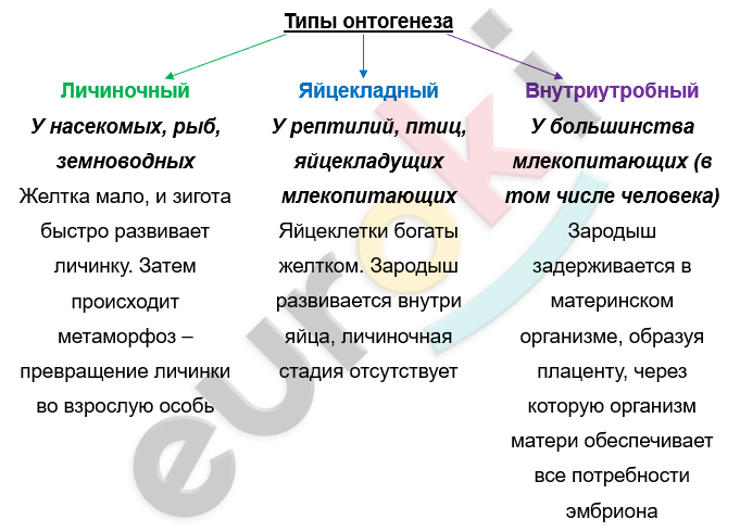 Изображение выглядит как текст, снимок экрана, Шрифт, число Автоматически созданное описание