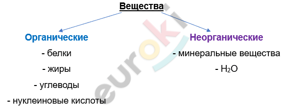 Изображение выглядит как текст, снимок экрана, Шрифт, линия Автоматически созданное описание