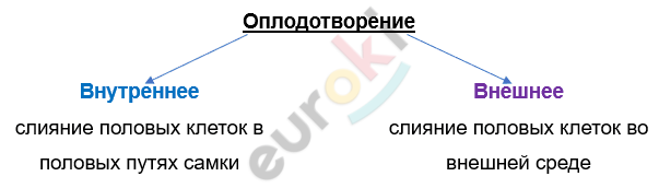 Изображение выглядит как текст, снимок экрана, Шрифт, линия Автоматически созданное описание