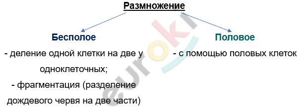 Изображение выглядит как текст, снимок экрана, Шрифт, линия Автоматически созданное описание