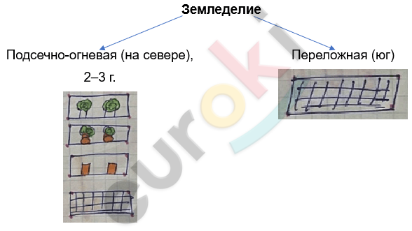 Изображение выглядит как снимок экрана, текст, Прямоугольник, дизайн Автоматически созданное описание