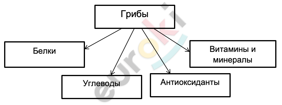 A diagram of a diagram Description automatically generated