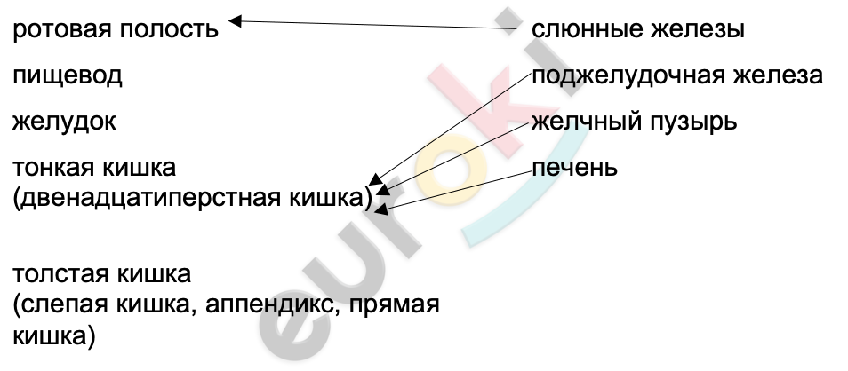 Diagram Description automatically generated