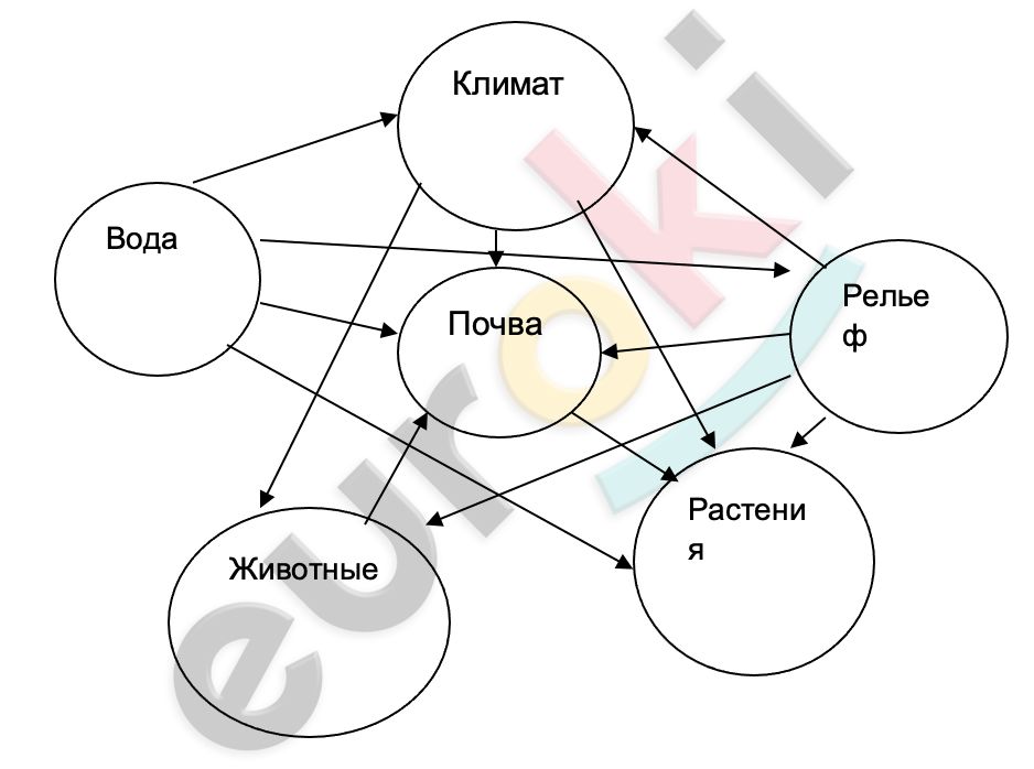 Diagram Description automatically generated