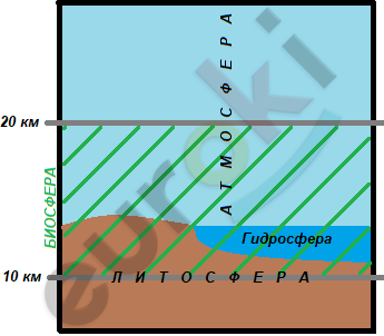 Chart Description automatically generated