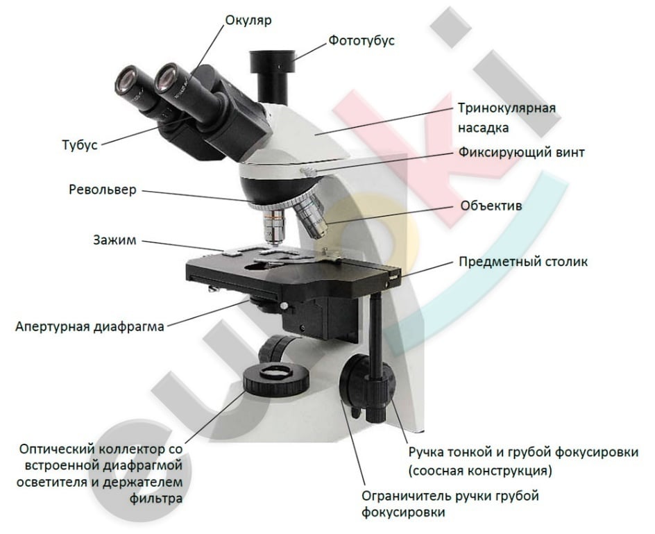 Изображение выглядит как микроскоп, Научный прибор Автоматически созданное описание