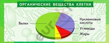 A colorful pie chart with text Description automatically generated