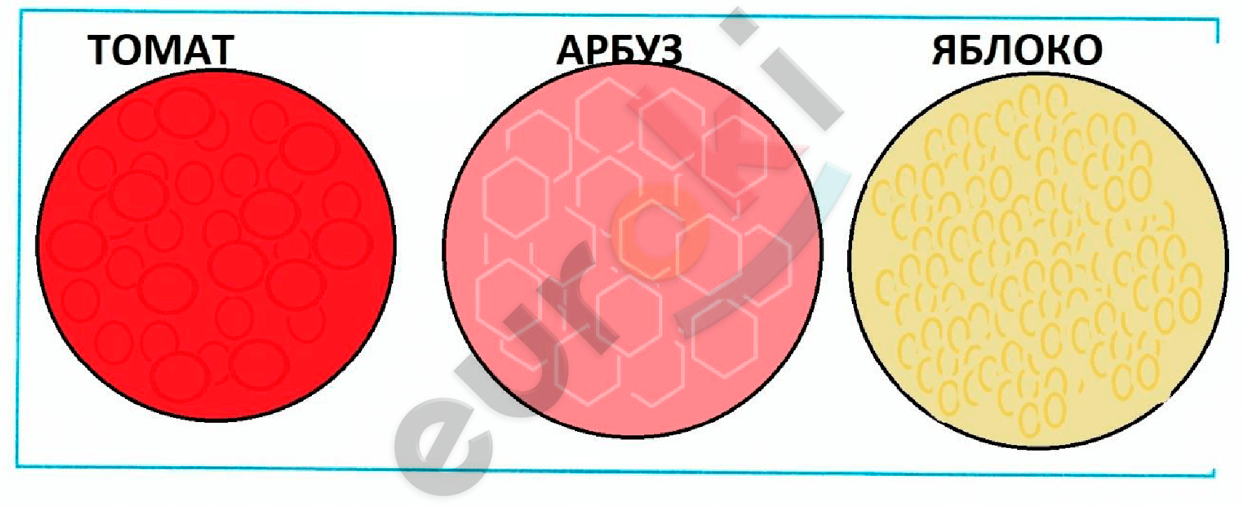 A diagram of different colors Description automatically generated