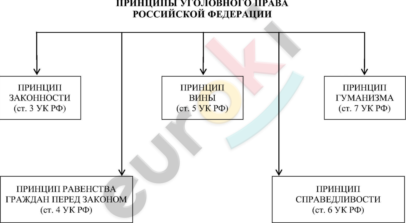 A diagram of a company Description automatically generated