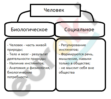 Diagram Description automatically generated