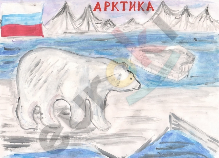 Рисунок арктики для учеников 4 класса. Легкие срисовки.