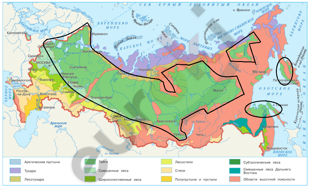 Природная зона расположенная южнее тайги. Природные зоны дальнего Востока карта. Зона тайги на карте России. Границы тайги на карте. Таежная зона на карте.