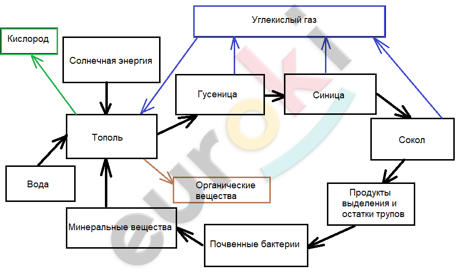 A diagram of a company Description automatically generated