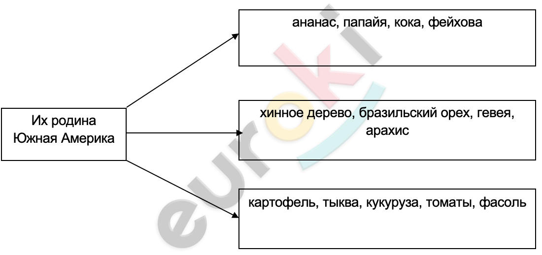 Diagram Description automatically generated