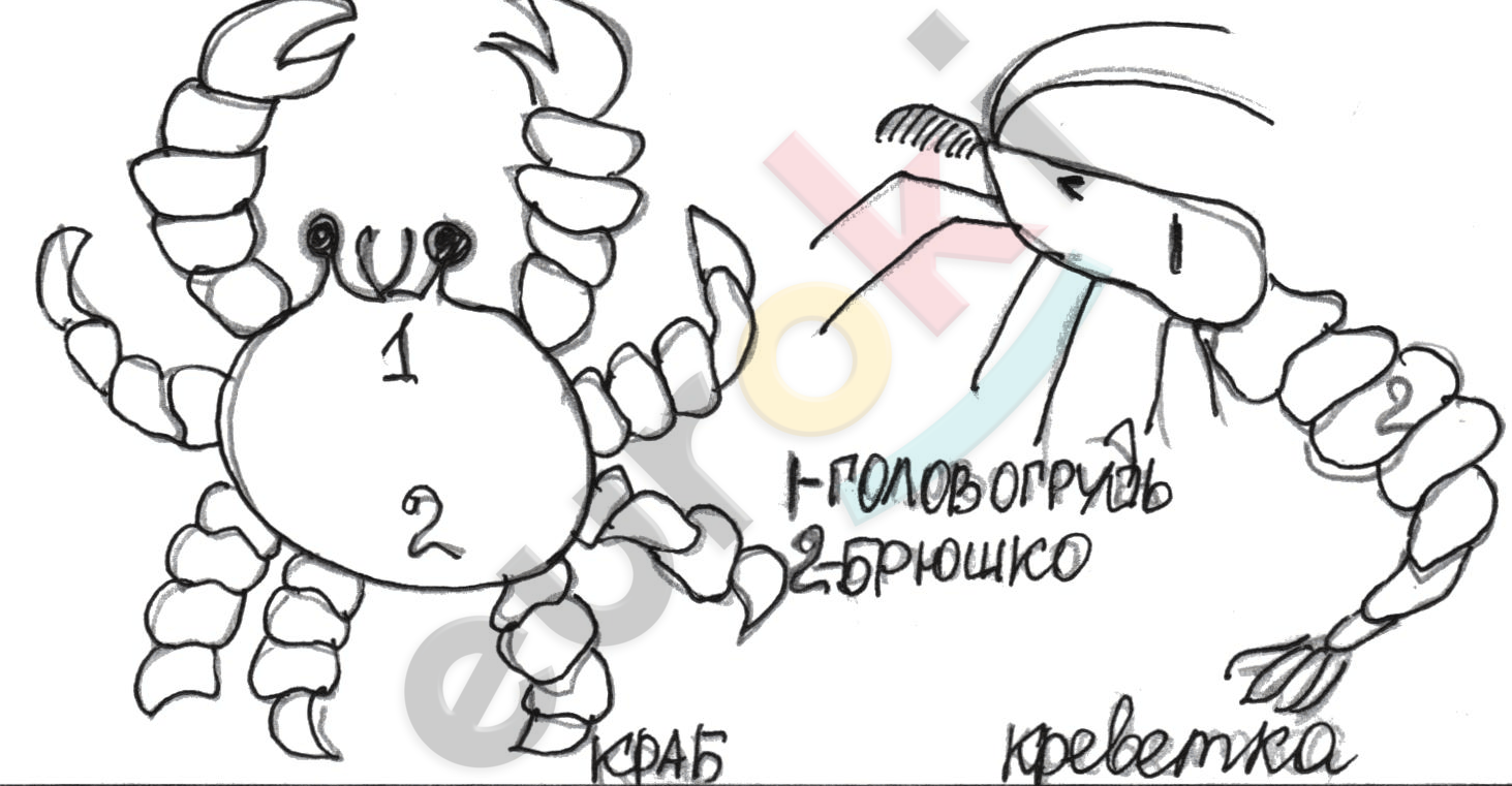 Diagram Description automatically generated