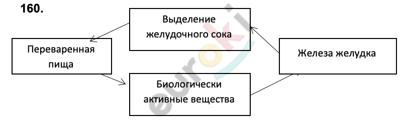 ГДЗ Стр. 78 Биология 8 класс Колесов Рабочая тетрадь