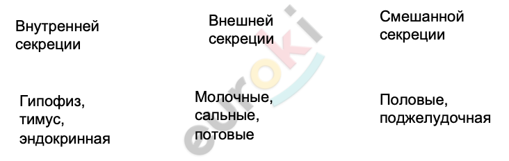 ГДЗ Стр. 122 Биология 8 класс Колесов Рабочая тетрадь