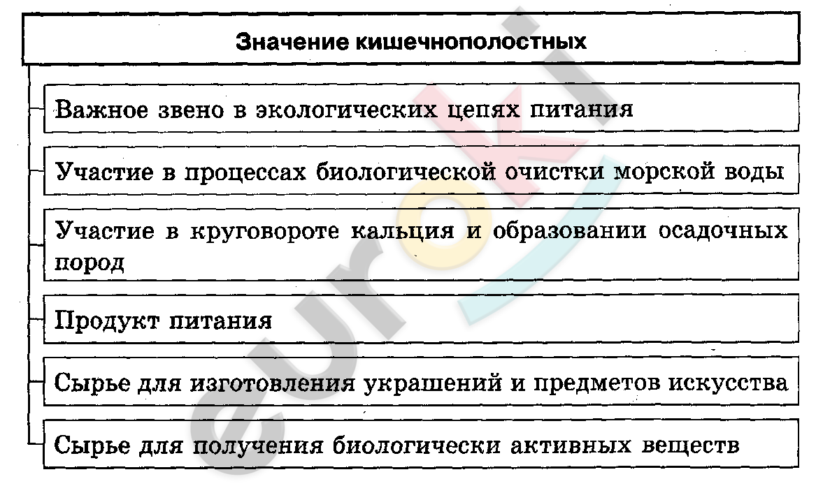 http://topuch.ru/4-mnogoobrazie-organizmov-znachenie-rabot-k-linneya-i-j-b-lama/2051_html_8d55d3e.png