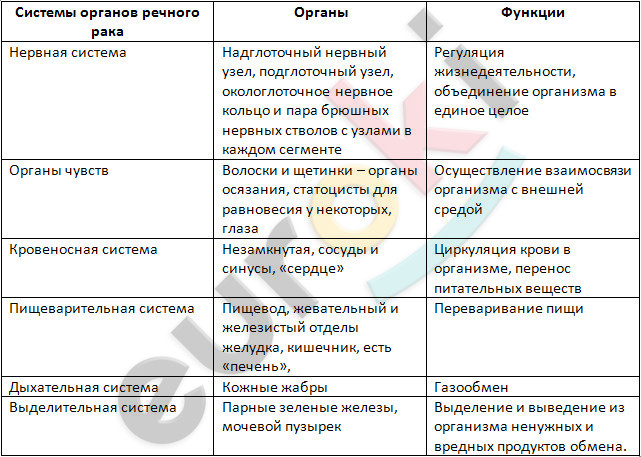 http://www.xn--c1acj.xn--80aswg/gdz/7_klass/biologiya/zaharov/7-28-103.jpg