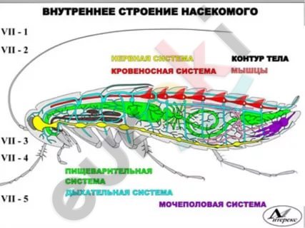 https://im0-tub-ru.yandex.net/i?id=53c137e8697d65be22c6a1680c793abf&n=13