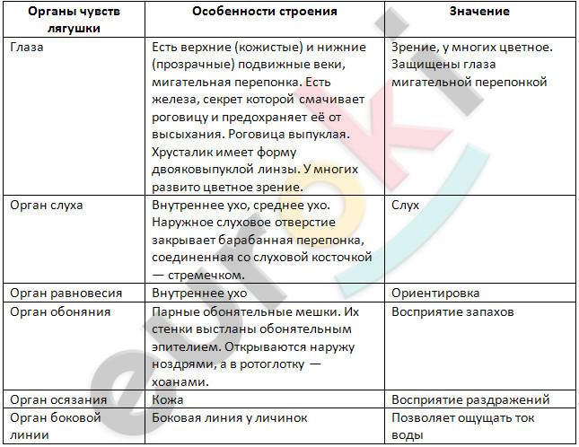 http://xn--c1acj.xn--80aswg/gdz/7_klass/biologiya/zaharov/7-35-144.jpg