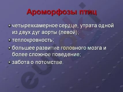 https://im0-tub-ru.yandex.net/i?id=3b8d325e5be1b14e195064688ddca7cc&n=13