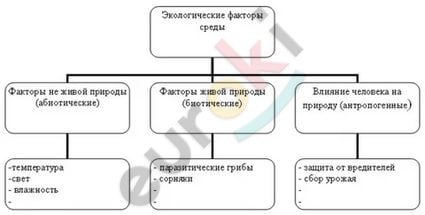 https://im0-tub-ru.yandex.net/i?id=6b391f140e8332b30ceb3249fb28a7d1&n=33&h=215&w=425