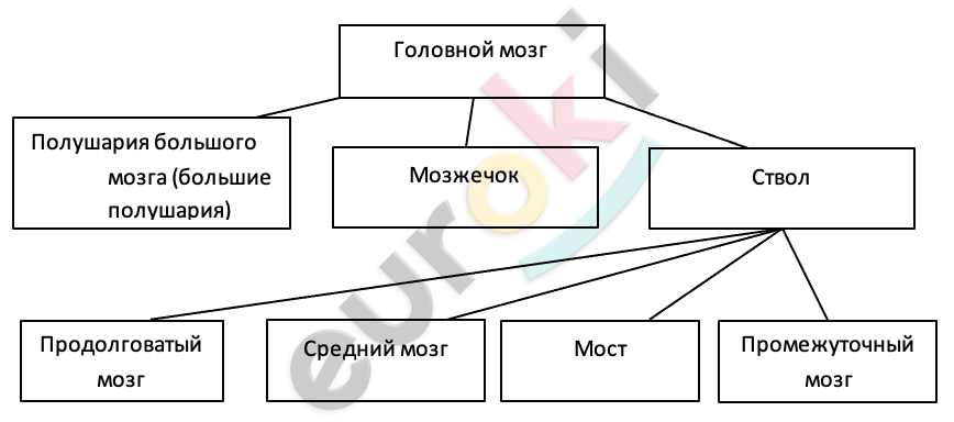 Diagram Description automatically generated