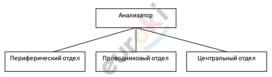 Diagram Description automatically generated