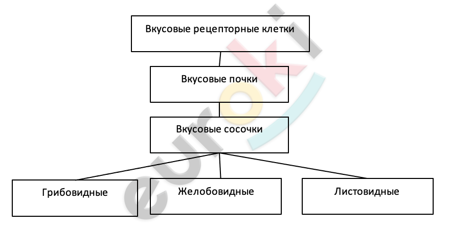 Diagram Description automatically generated