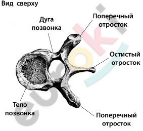 http://www.e-reading.mobi/illustrations/1007/1007949-doc2fb_image_02000002.jpg