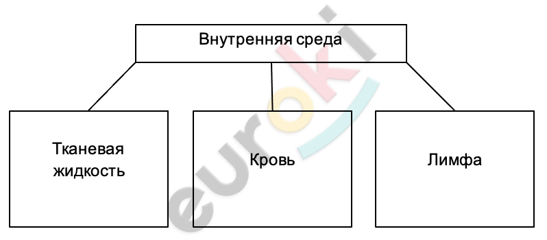 Diagram Description automatically generated