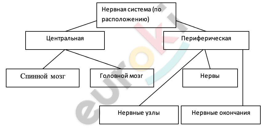 Diagram Description automatically generated