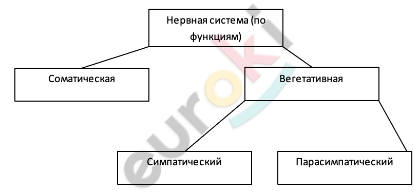 Diagram Description automatically generated