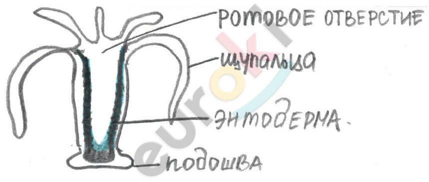 Diagram Description automatically generated