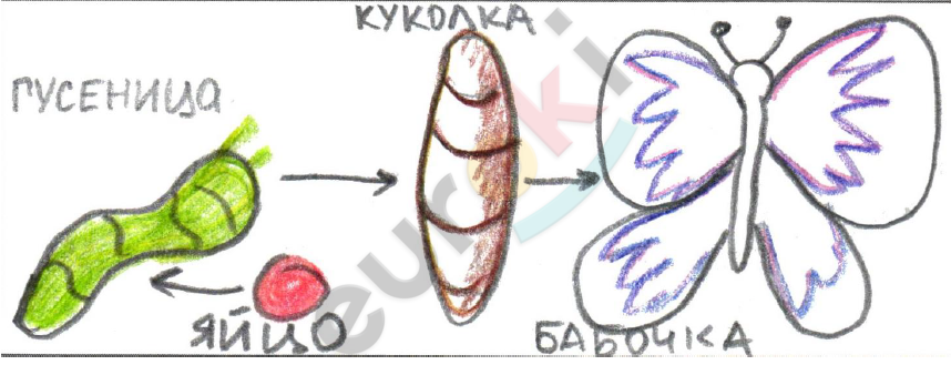 Diagram Description automatically generated