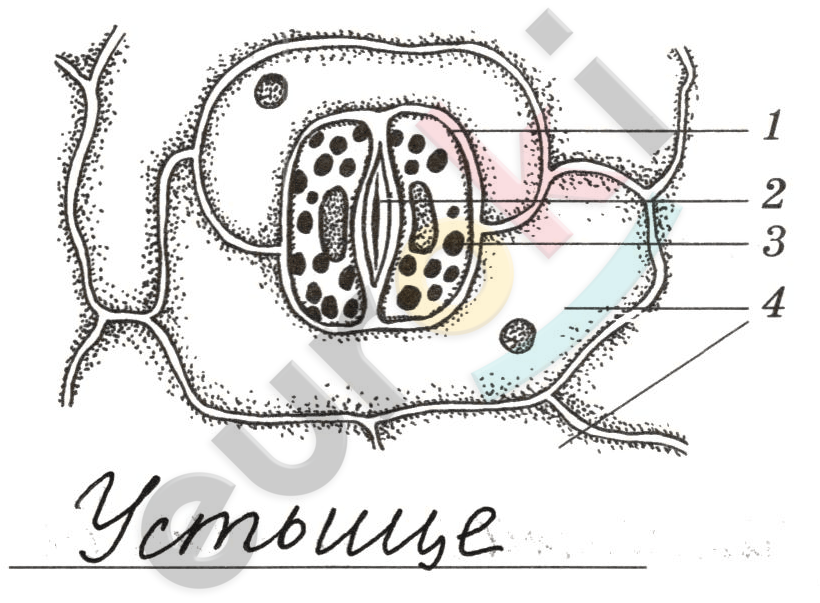 Diagram Description automatically generated