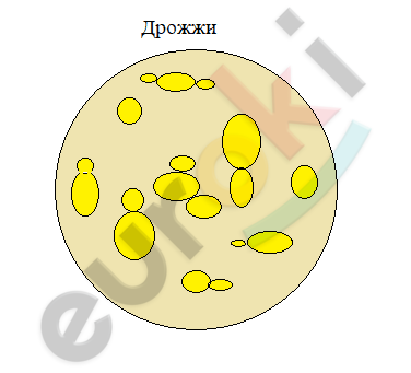 A yellow circle with dots Description automatically generated