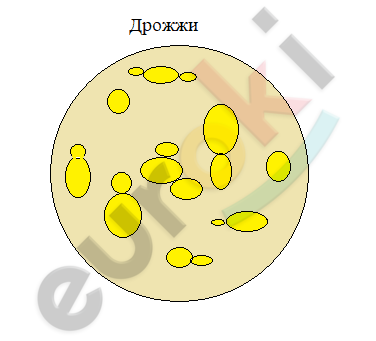 Diagram Description automatically generated