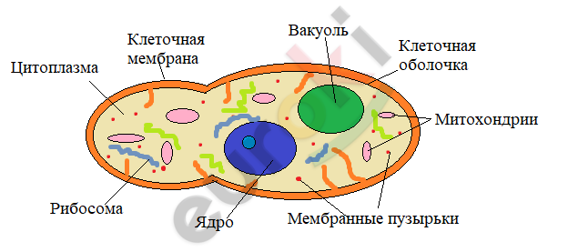 Diagram, schematic Description automatically generated