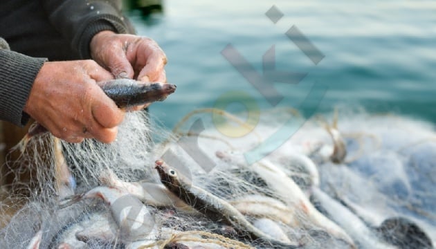 Штраф за незаконный лов рыбы увеличен в 10 раз