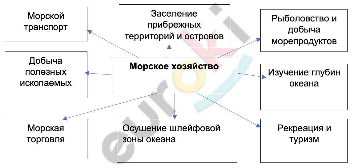 A diagram of a company Description automatically generated