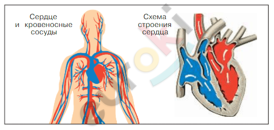 Задание рисунок 2