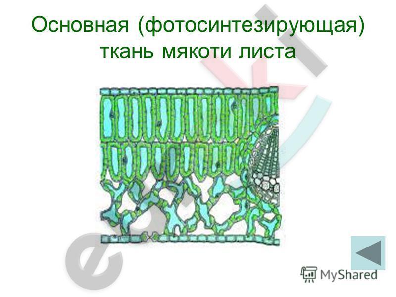 http://images.myshared.ru/17/1106161/slide_8.jpg