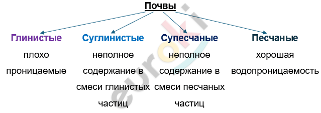 Изображение выглядит как текст, снимок экрана, линия, Шрифт Автоматически созданное описание