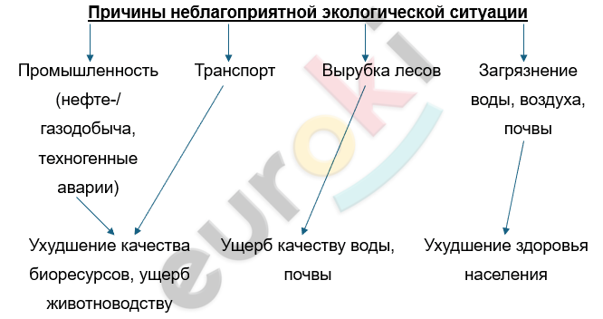 Изображение выглядит как текст, снимок экрана, Шрифт, линия Автоматически созданное описание